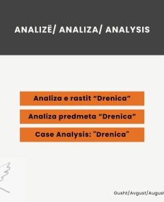 Analiza predmeta “Drenica”